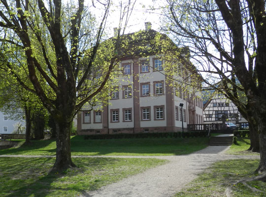 Außenansicht auf das Hotel Adler von einem Park in Horb am Neckar